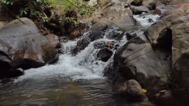 Cascada Selva Tropical Cámara Lenta — Vídeos de Stock