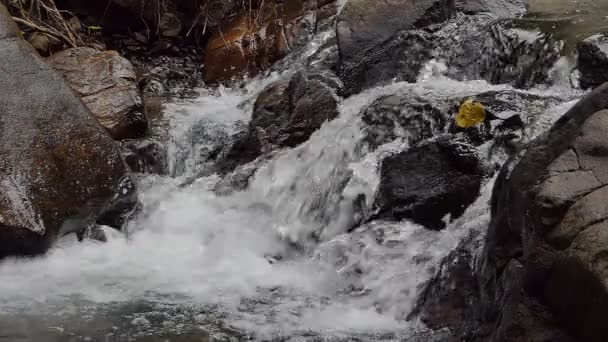 熱帯雨林の滝 スローモーション — ストック動画