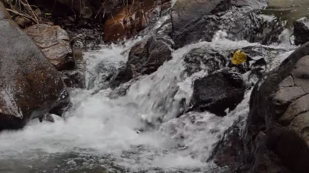 Cachoeira Floresta Tropical Câmera Lenta — Vídeo de Stock