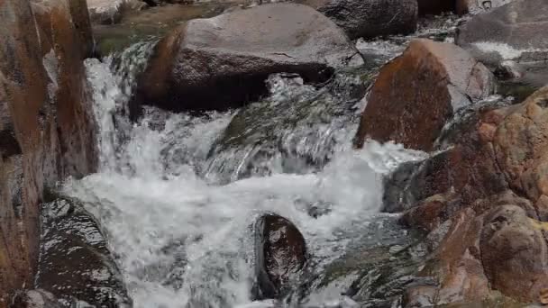 Cachoeira Floresta Tropical Câmera Lenta — Vídeo de Stock