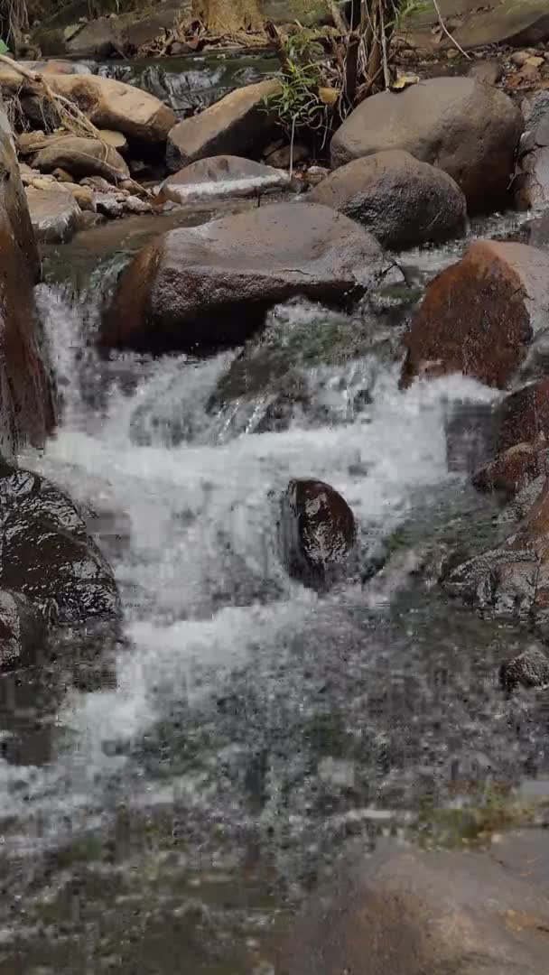 Verticaal Van Waterval Tropisch Regenwoud Slow Motion — Stockvideo