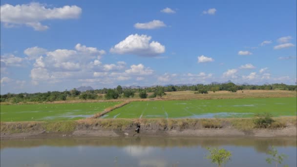 Nuages Sur Ciel Bleu Zone Agricole Paysage Rural Laps Temps — Video