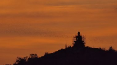 Gün batımında heykel siluetinde uçan yarasa sürüsü Buda 'nın arka planında.