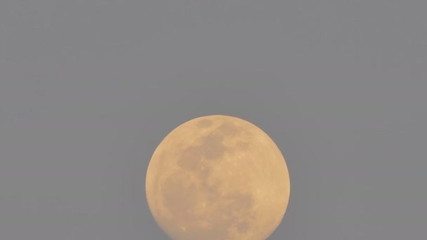 Moment Pleine Lune Sur Ciel Laps Temps — Video