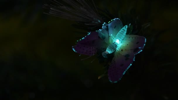 Cicada Lumière Éclatante Dans Festival Décor Noël Nouvel — Video