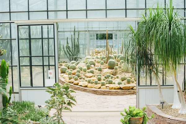 Cactus glasshouse plant botanical garden landmark — Stock Photo, Image