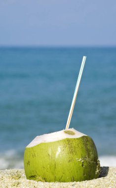 Tropikal bir plajda yeşil Hindistan cevizi