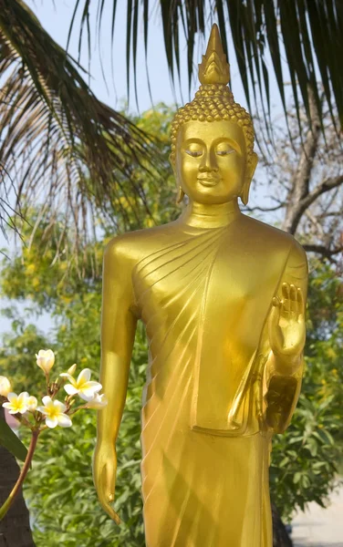 Goldene Buddha-Statue mit Frangipani-Blumen — Stockfoto