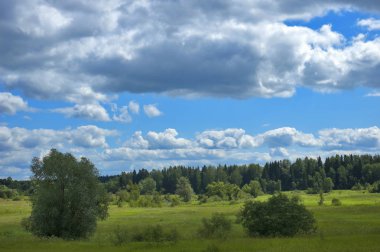 Avrupa yaz manzara mavi gökyüzü ile
