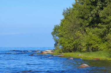 Ağaç yaz manzara mavi su Gölü ve yeşil