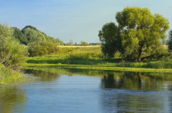 European Summer River Landscape