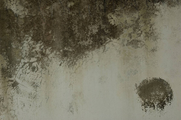 Grunge wall unrefined texture background