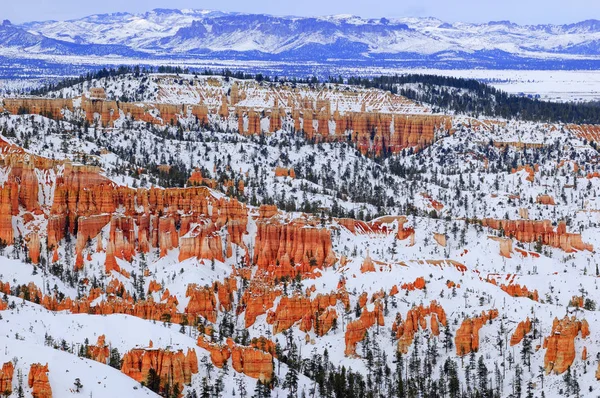 Bryce Nemzeti Park télen — Stock Fotó