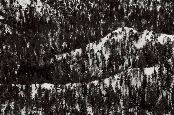 Parque Nacional de Bryce preto e branco no inverno — Fotografia de Stock