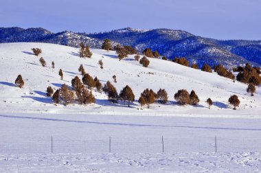 Kış karlı tepeleri kahverengi ağaçları ile