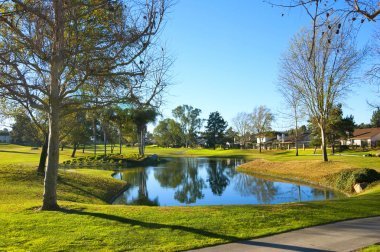 Yeşil otlar, ağaçlar ve gölet Golf Sahası