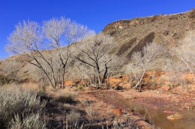 Zion National Park - Coalpits yıkama iz kışın 