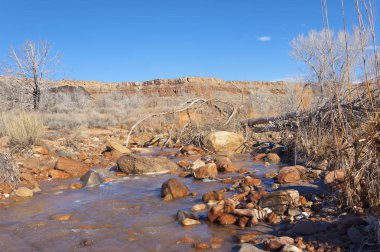 Zion National Park - Coalpits yıkama iz kışın