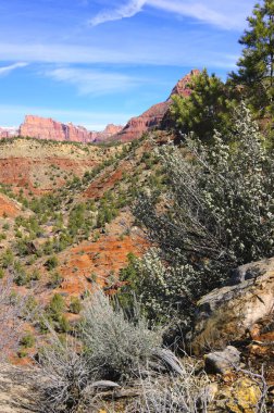 Zion National Park - Coalpits yıkama iz kışın