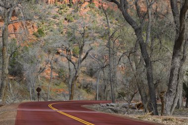 Zion National Park road (Utah, ABD)