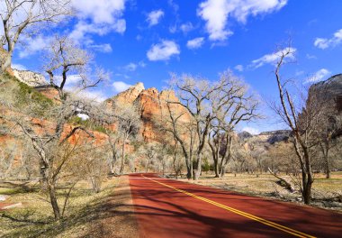 Zion National Park road (Utah, ABD)