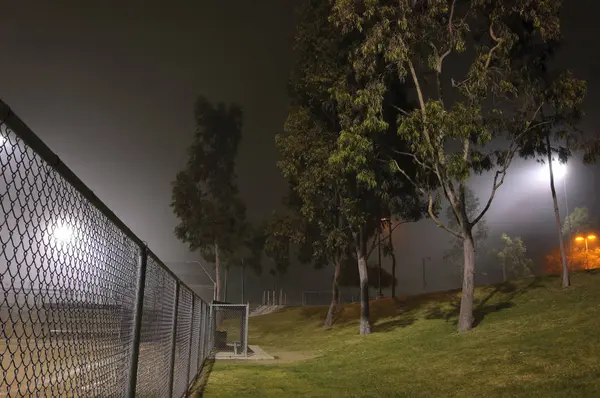 Ночной туман в парке — стоковое фото