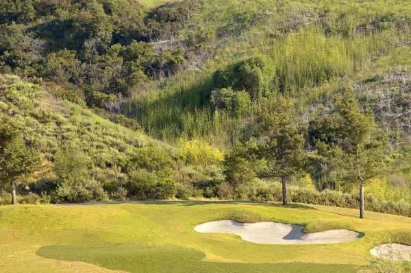Волнистое зелёное поле для гольфа — стоковое фото