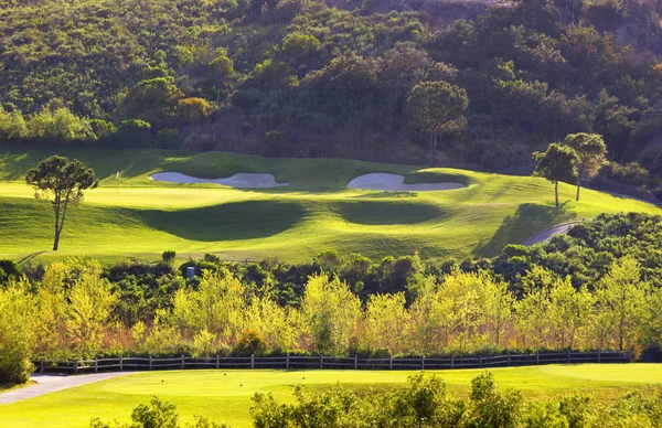 Golvende groene golf veld — Stockfoto