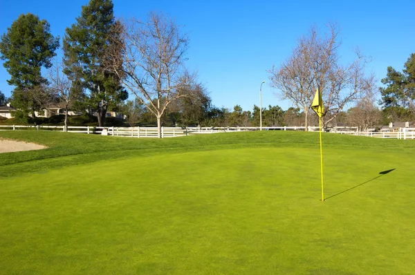 Countryside golf course with green grass, trees and wooden fence