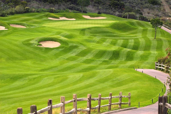 Welliges grünes Golffeld — Stockfoto