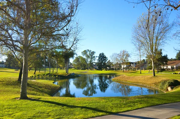 Поле для гольфа с зеленой травой, деревьями и прудом — стоковое фото
