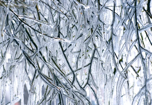 Slunečné zimní jarní rampouchy přírodní pozadí — Stock fotografie