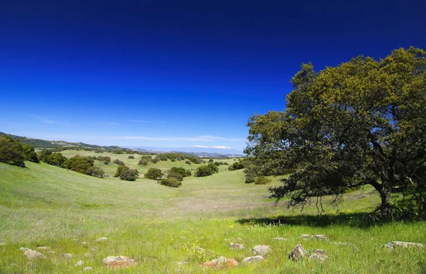 Santa Rosa Plateau in spring — Stock Photo, Image