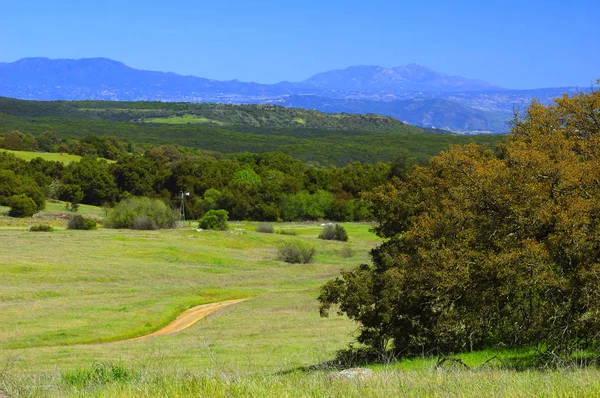 Santa Rosa Plateau letní kopce krajina — Stock fotografie