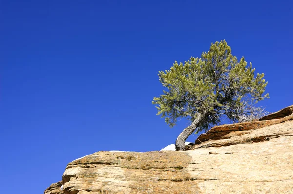 Zion National Park - Overlook iz