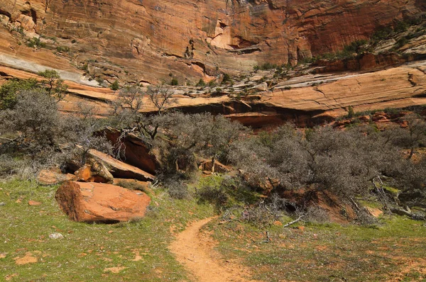 Zion National Park - Riverside iz