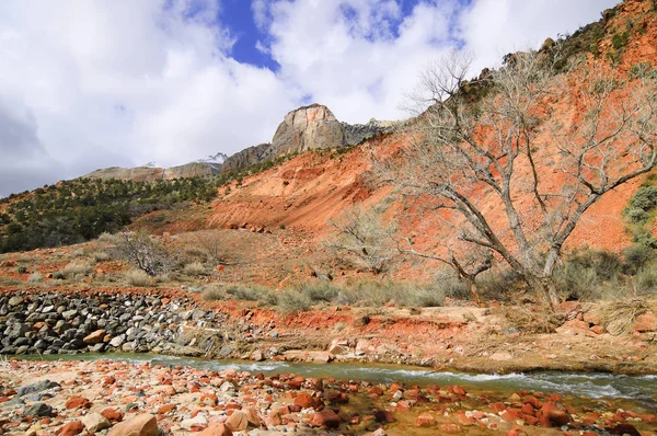 Parque Nacional Zion y El Río Virgen en primavera —  Fotos de Stock