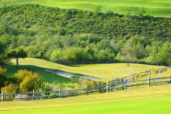 Ondulato campo da golf verde Immagine Stock