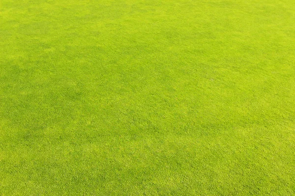 Terrain de golf vert fond d'herbe Image En Vente