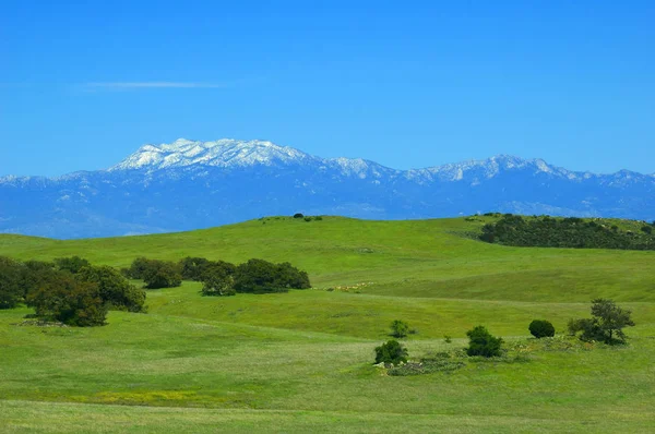 Plateau de Santa Rosa au printemps Photo De Stock