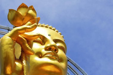lotus çiçeği da lat, vietnam, büyük altın buddha