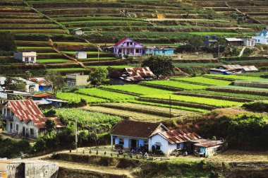 Vietnamese Central Highlands Agriculture (Da Lat, Vietnam) clipart