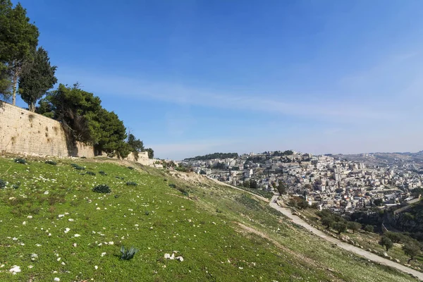 Vue panoramique de Jérusalem devant les murs de la Vieille Ville. Collines vertes , Images De Stock Libres De Droits