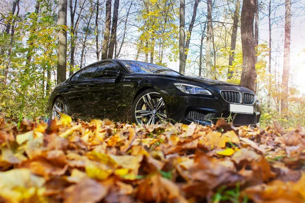Kiev, Ukraine, 14 juillet 2015. BMW M6 en forêt d'automne. Photo éditoriale . — Photo