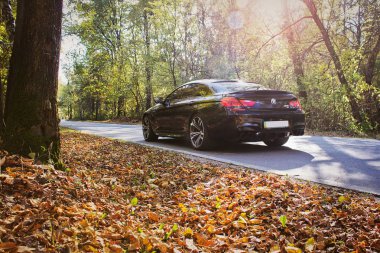 BMW M6 sonbahar ormandaki. Kiev, Ukrayna, 14 Temmuz 2015. Editoryal fotoğraf.