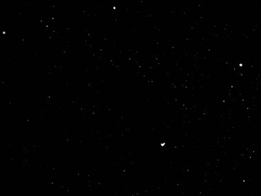 Yıldızlı gece gökyüzü. Gece kar ağacında