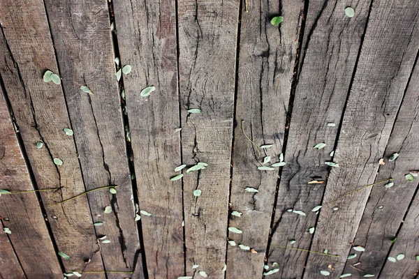 Beautiful background of wooden planks. Wood background close up — Stock Photo, Image