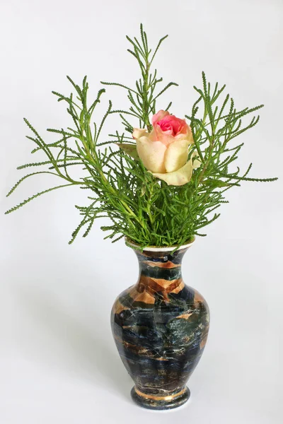 Rose Dans Beau Vase — Photo