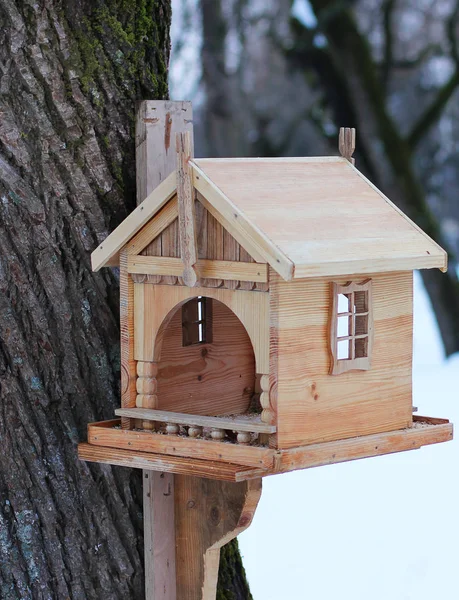 Uma Casa Pássaros Uma Árvore Inverno — Fotografia de Stock