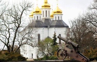 Ağaçlar kilisede. Kilise. Chernigov eski kilisede. 